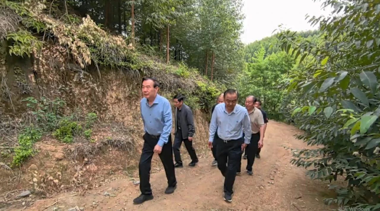魯麗集團(tuán)董事長薛茂林到湖南魯麗自培育林地視察